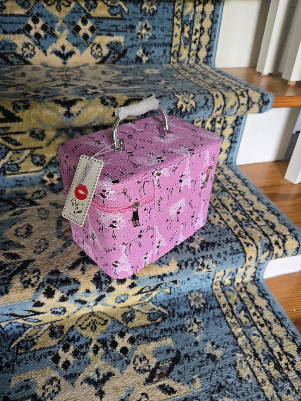Pink Paris Print Train Case Vanity Bag